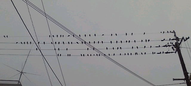 20120307171446.jpg